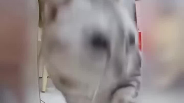 أشياء ليس من المفترض حدوثها ولاكن صورتها الكميرا