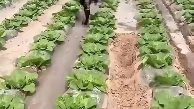 ابتكار صيني عبقري لري الأرض 