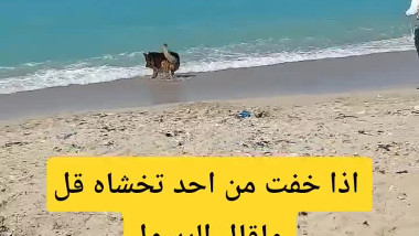اذا خفت من احد تخشاه قل ماقال الرسول ﷺ