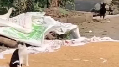 اذكى شخص بالعالم راح تتفاجئ بما حصل