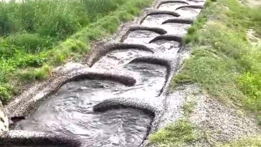 اكتشف سلم السمك يساعد الأسماك على إكمال هجرتها