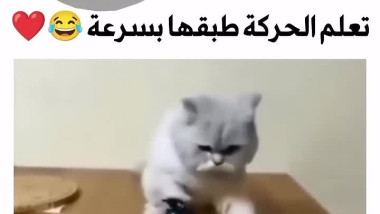 البزونه تعلمت الحركه وطبقتها بسرعه