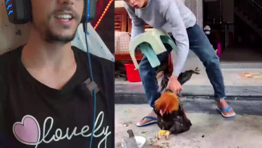 التكنولوجيا البشرية