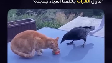 الرحمة عنوان الحياة