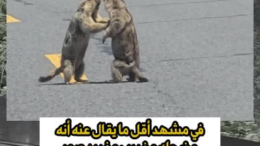 العراك الأخطر الذي جعل الكل يتوقف