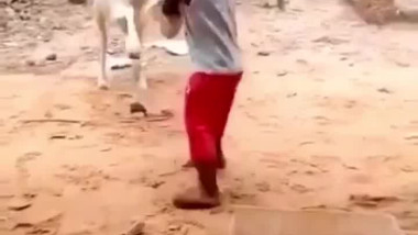 برايكم من الغلطان