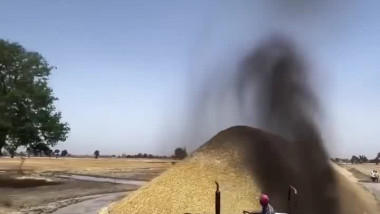 تغطية التبن بالطين للحفاظ عليه