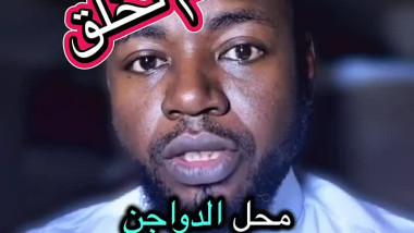 دجاجة لم تخلق