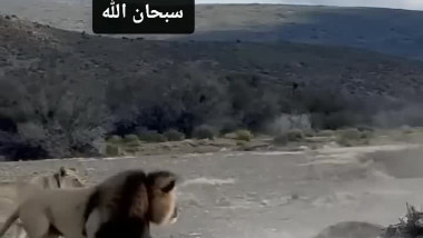 سبحان الله طبيعة