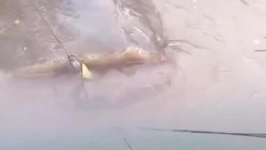 عينك على الصياد ههه