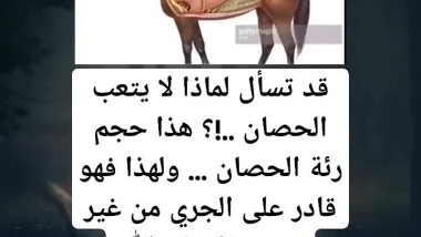 قد تسأل لماذا لا يتعب الحصان 