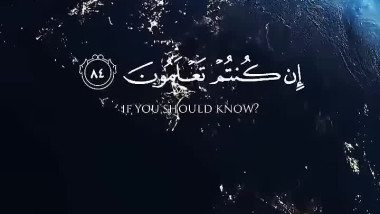 قل لمن الأرض ومن فيها إن كنتم تعلمون