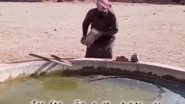 لعل طائرا يشهد لك عند ربك