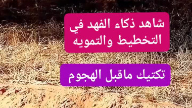 لفهد يقوم بتخطيط رهيب قبل الهجوم