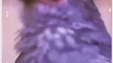 هذا خلق الله