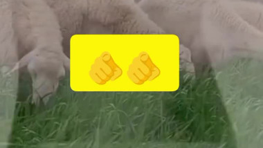 هذه الدعوه لكل المشاهدين ة قناه