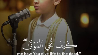 واذ قال إبراهيم أرني كيف تحيي الموتى