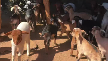 واش في خبارك هذا البلاصة في المغرب