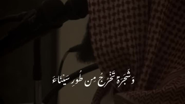 وشجـر تخرج من طور سيناء  تلاوة مؤثرة